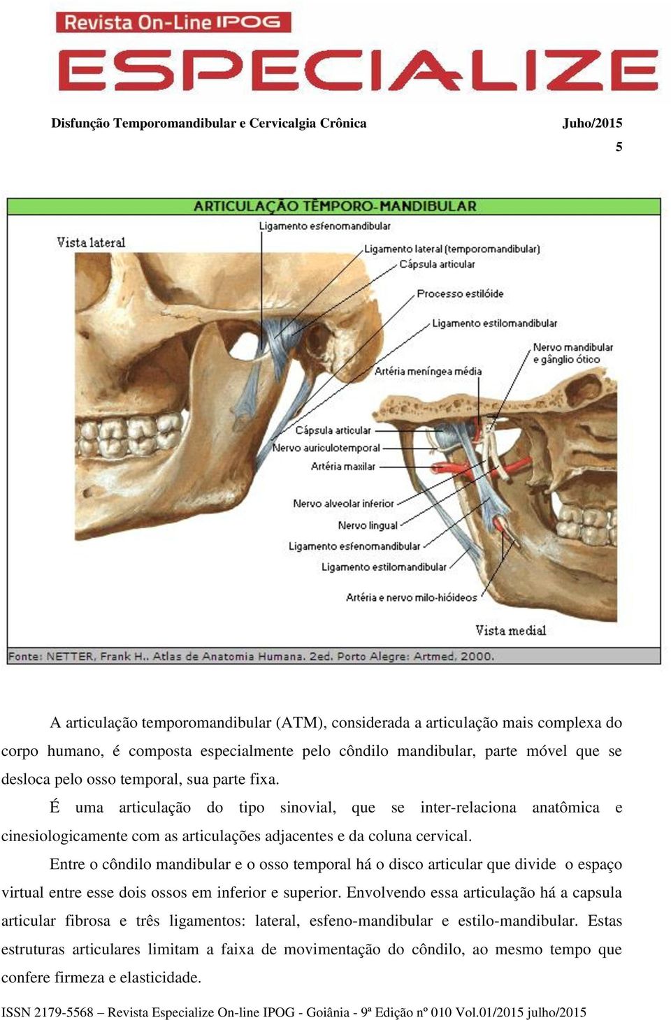 Entre o côndilo mandibular e o osso temporal há o disco articular que divide o espaço virtual entre esse dois ossos em inferior e superior.