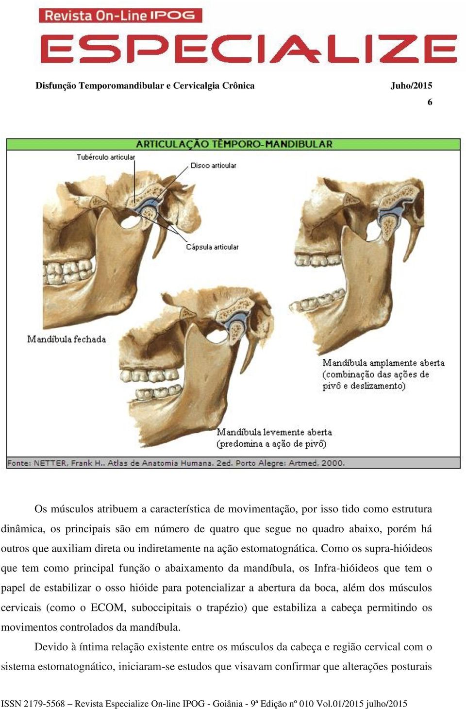 Como os supra-hióideos que tem como principal função o abaixamento da mandíbula, os Infra-hióideos que tem o papel de estabilizar o osso hióide para potencializar a abertura da boca,