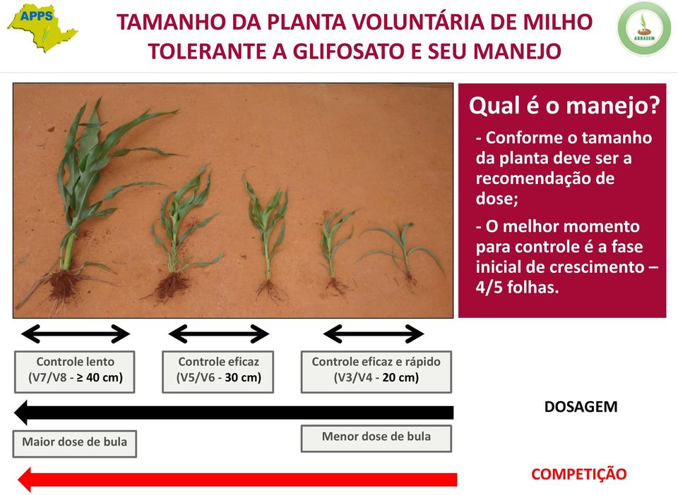 controle é a fase inicial de crescimento 4/5 folhas.