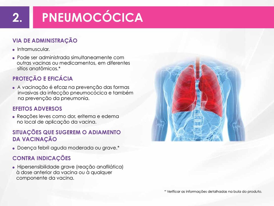 EFEITOS ADVERSOS Reações leves como dor, eritema e edema no local de aplicação da vacina.