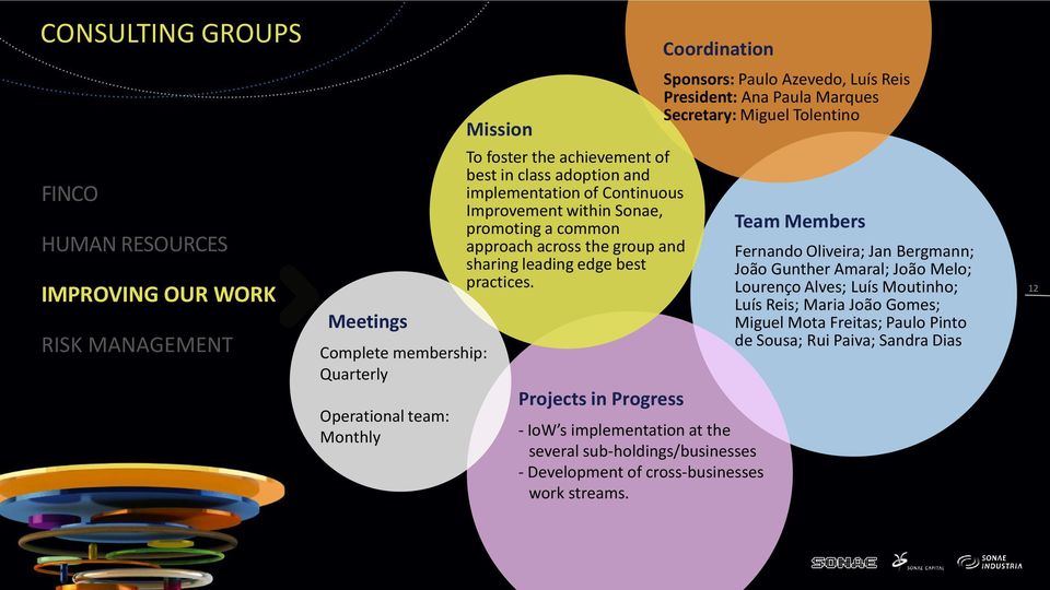 Projects in Progress Coordination - IoW s implementation at the several sub-holdings/businesses - Development of cross-businesses work streams.