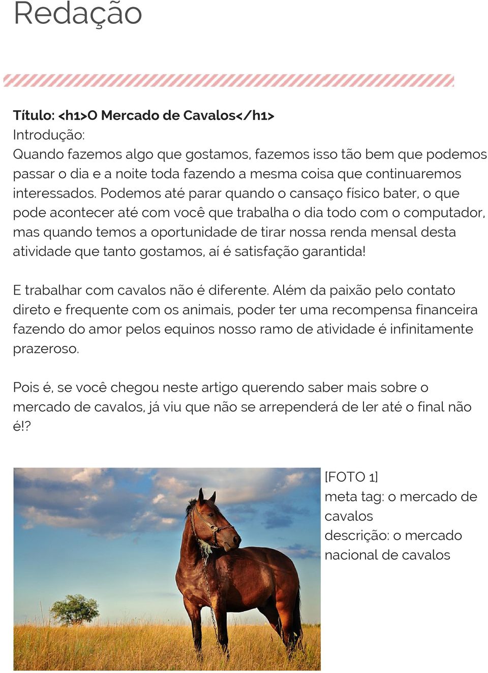 atividade que tanto gostamos, aí é satisfação garantida! E trabalhar com cavalos não é diferente.