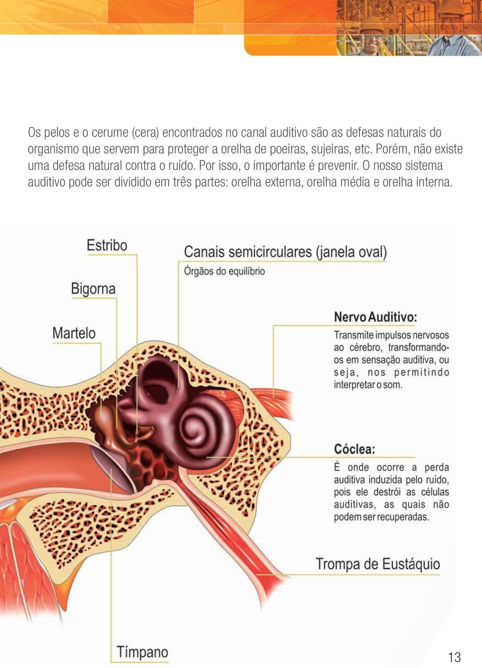 Porém, não existe uma defesa natural contra o ruído. Por isso, o importante é prevenir.