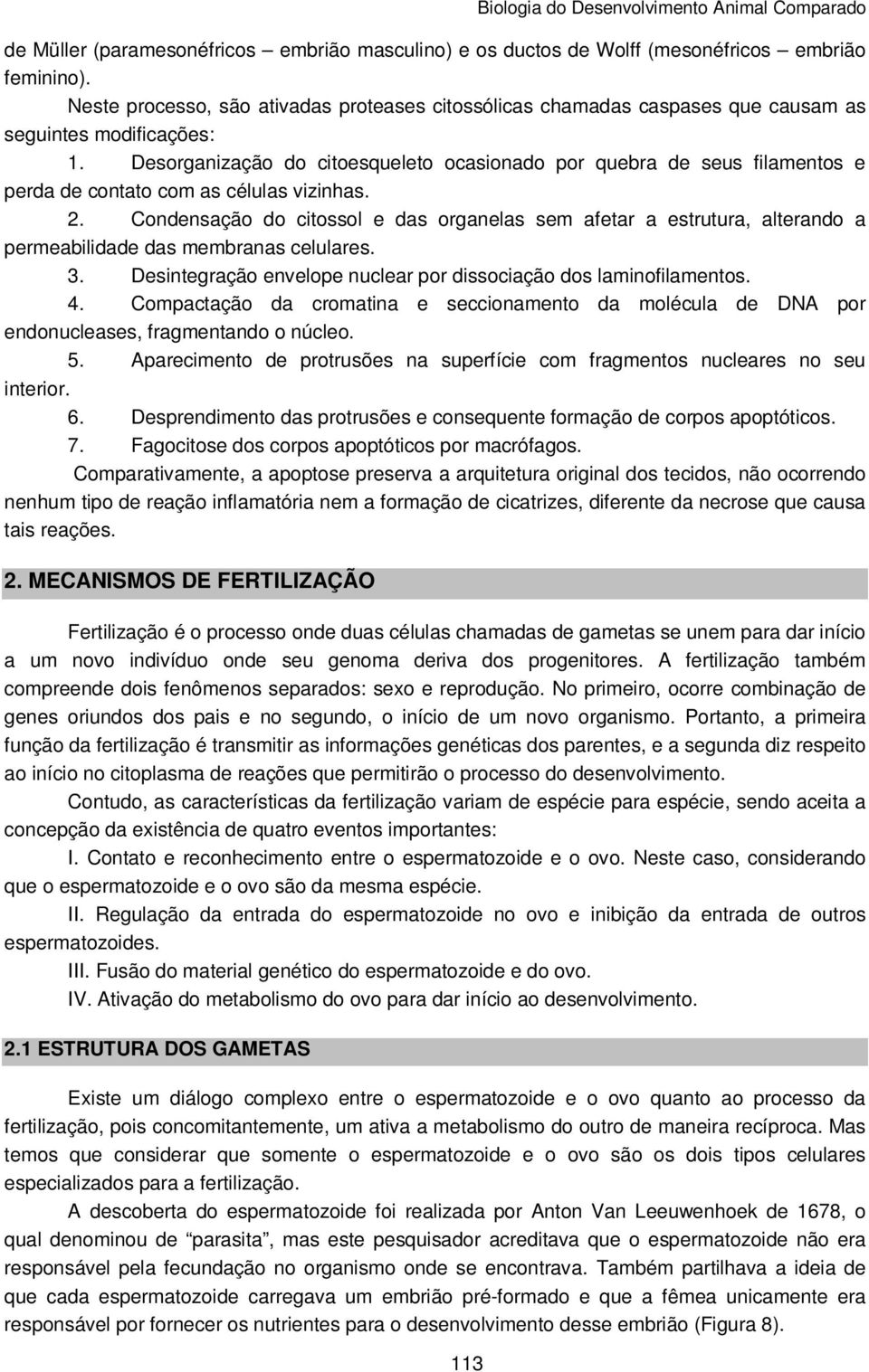 Desorganização do citoesqueleto ocasionado por quebra de seus filamentos e perda de contato com as células vizinhas. 2.