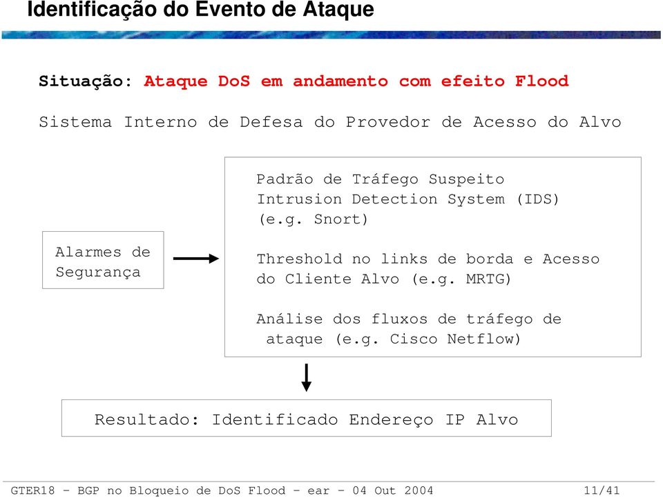 Suspeito Intrusion Detection System (IDS) (e.g.