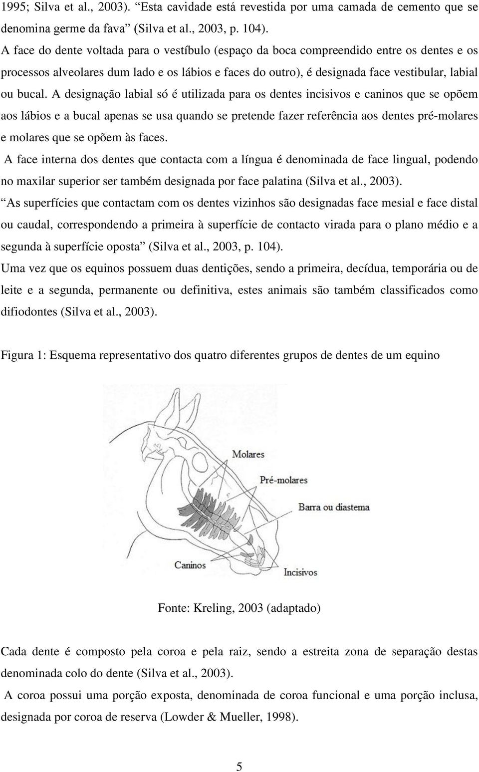 A designação labial só é utilizada para os dentes incisivos e caninos que se opõem aos lábios e a bucal apenas se usa quando se pretende fazer referência aos dentes pré-molares e molares que se opõem