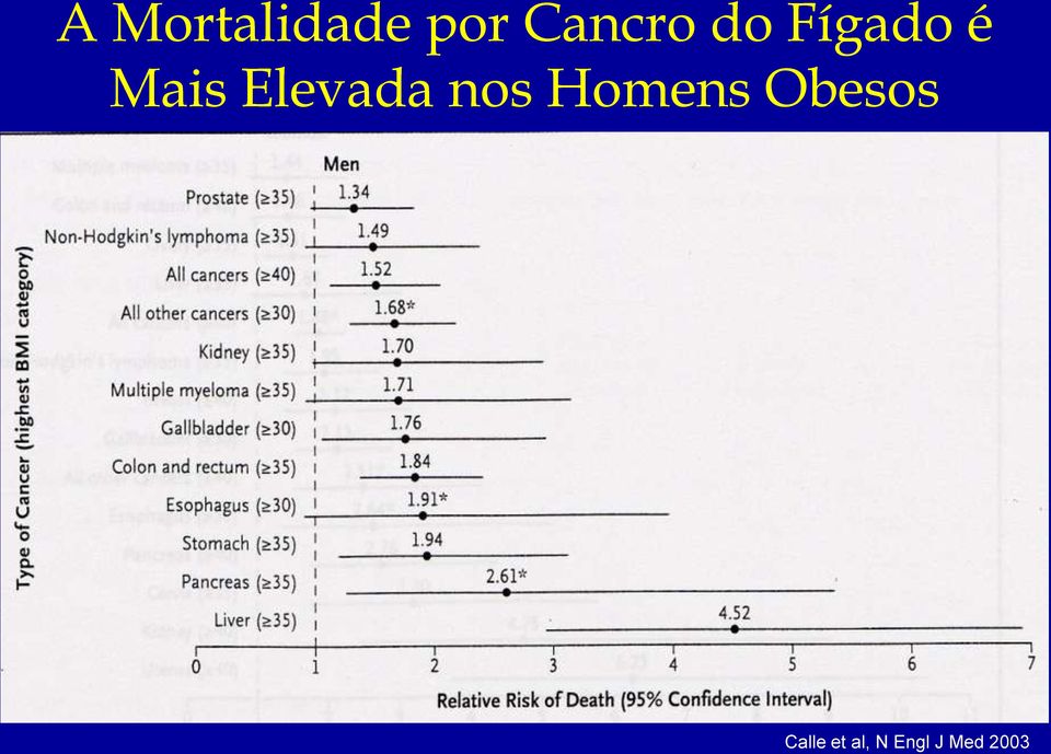 nos Homens Obesos Calle