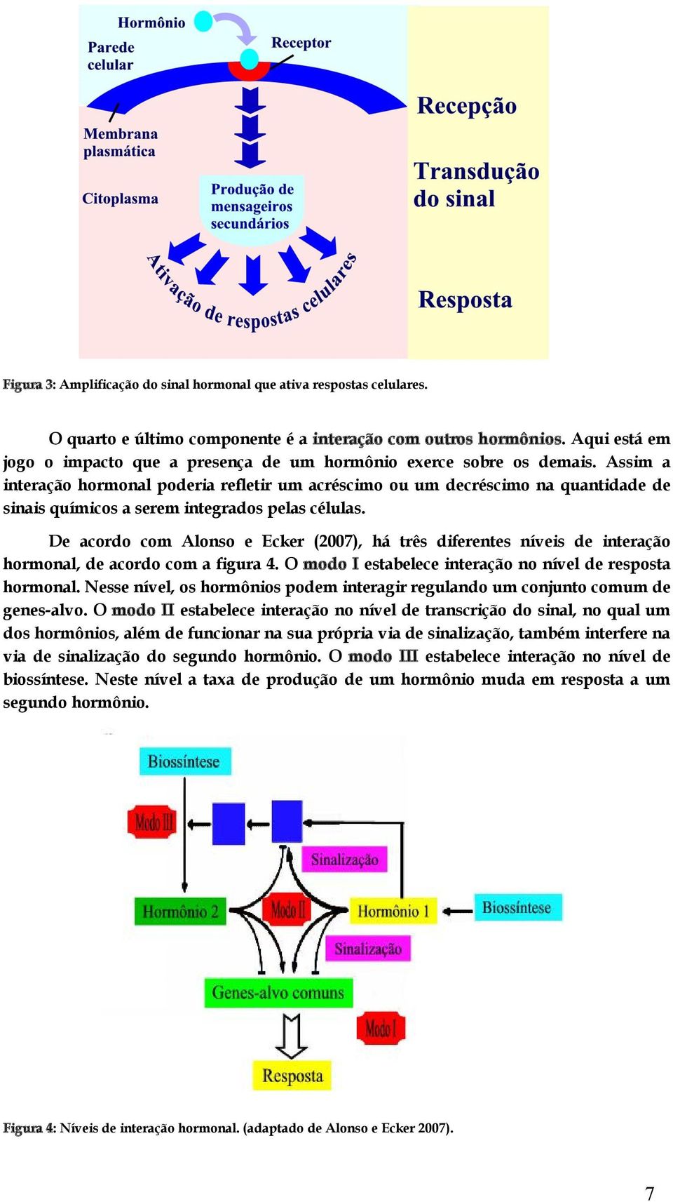 Assim a interação hormonal poderia refletir um acréscimo ou um decréscimo na quantidade de sinais químicos a serem integrados pelas células.