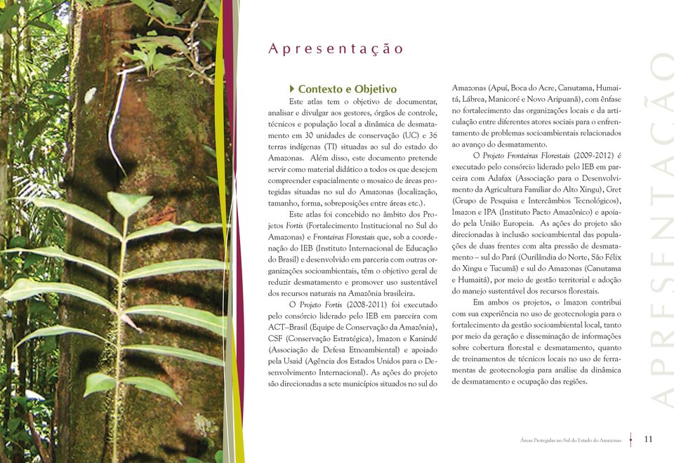 Além disso, este documento pretende servir como material didático a todos os que desejem compreender espacialmente o mosaico de áreas protegidas situadas no sul do Amazonas (localização, tamanho,