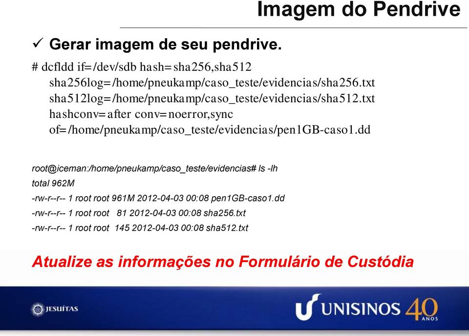 txt hashconv=after conv=noerror,sync of=/home/pneukamp/caso_teste/evidencias/pen1gb-caso1.