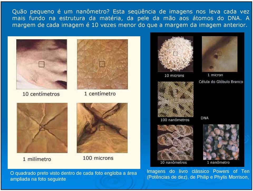 aos átomos do DNA. A margem de cada imagem é 10 vezes menor do que a margem da imagem anterior.