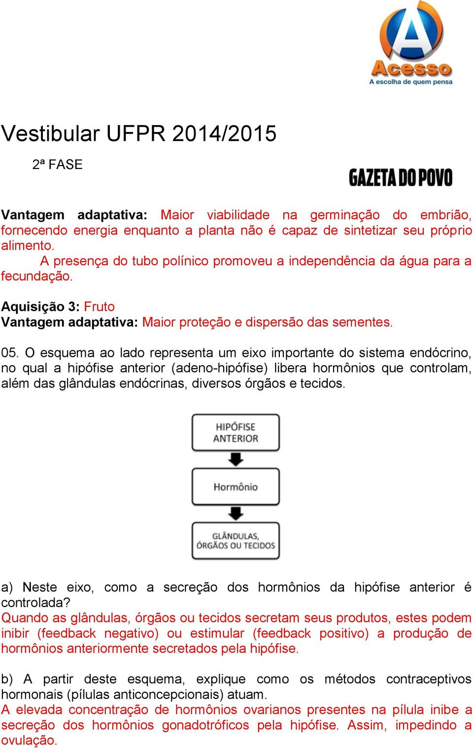 O esquema ao lado representa um eixo importante do sistema endócrino, no qual a hipófise anterior (adeno-hipófise) libera hormônios que controlam, além das glândulas endócrinas, diversos órgãos e