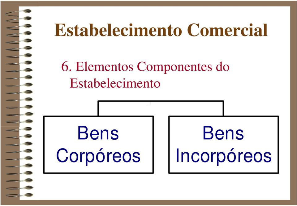 Estabelecimento