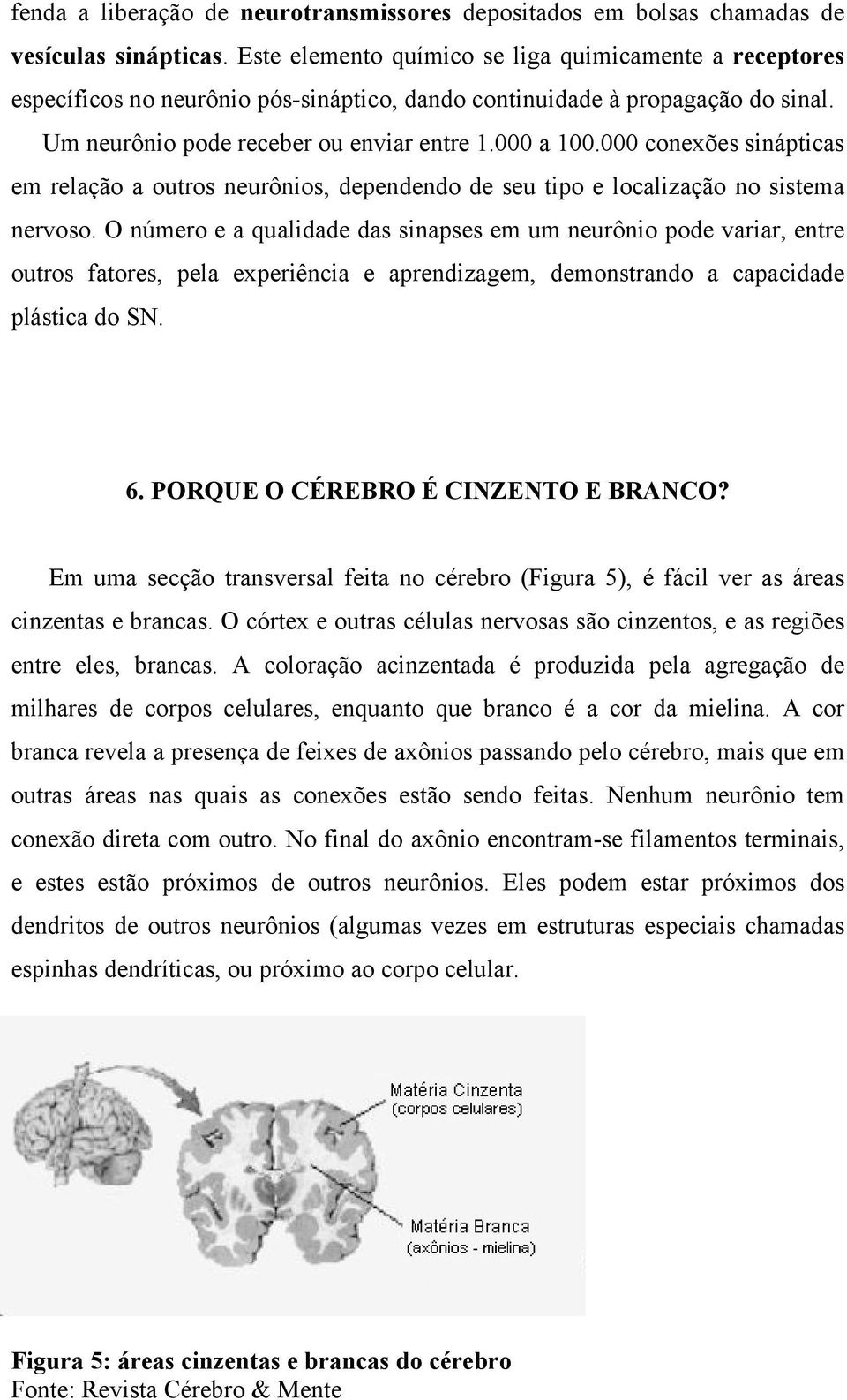 000 conexões sinápticas em relação a outros neurônios, dependendo de seu tipo e localização no sistema nervoso.