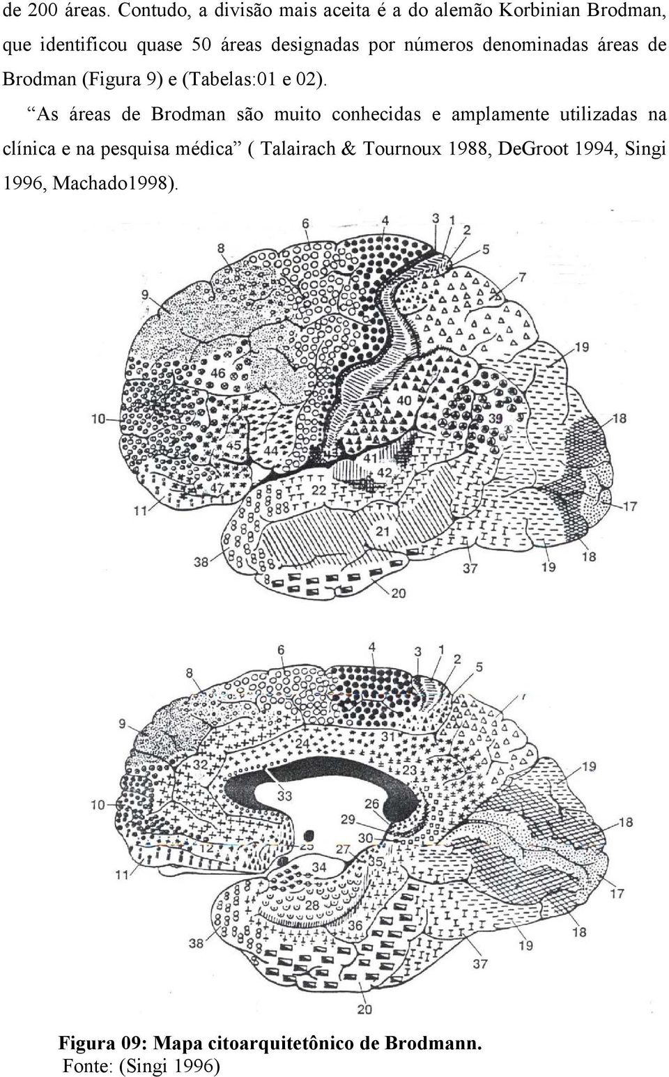 por números denominadas áreas de Brodman (Figura 9) e (Tabelas:01 e 02).