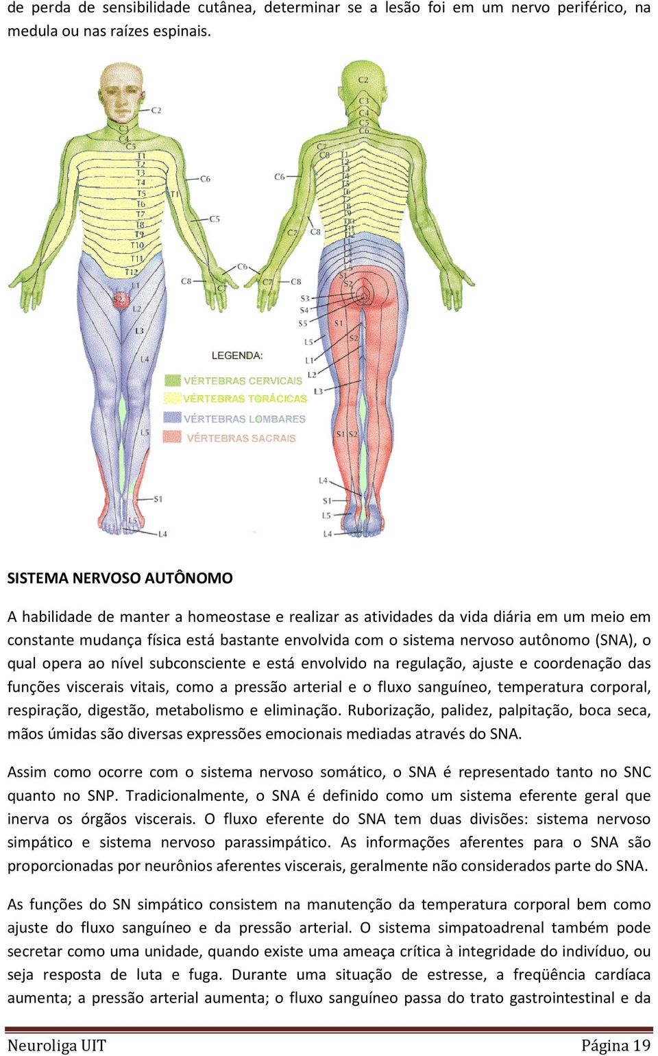 (SNA), o qual opera ao nível subconsciente e está envolvido na regulação, ajuste e coordenação das funções viscerais vitais, como a pressão arterial e o fluxo sanguíneo, temperatura corporal,