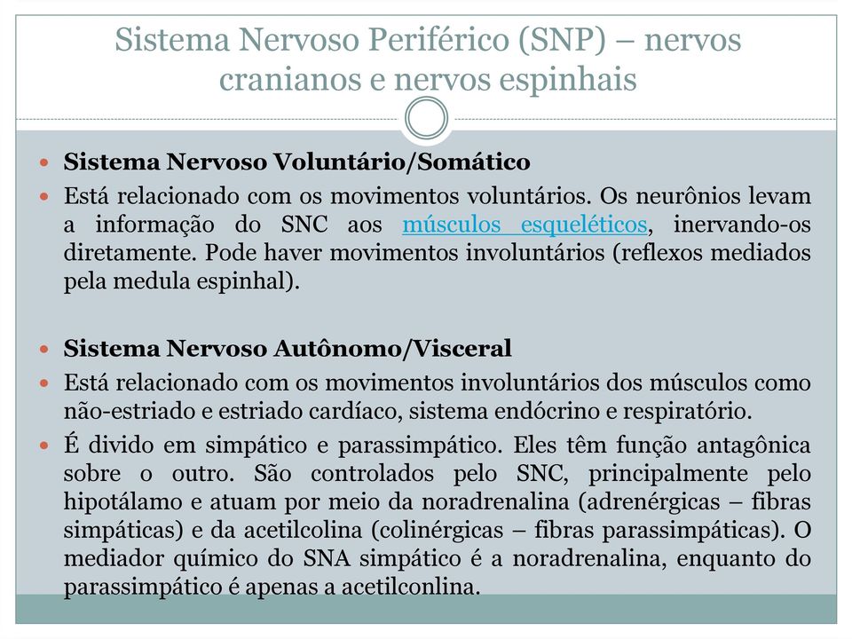 Sistema Nervoso Autônomo/Visceral Está relacionado com os movimentos involuntários dos músculos como não-estriado e estriado cardíaco, sistema endócrino e respiratório.