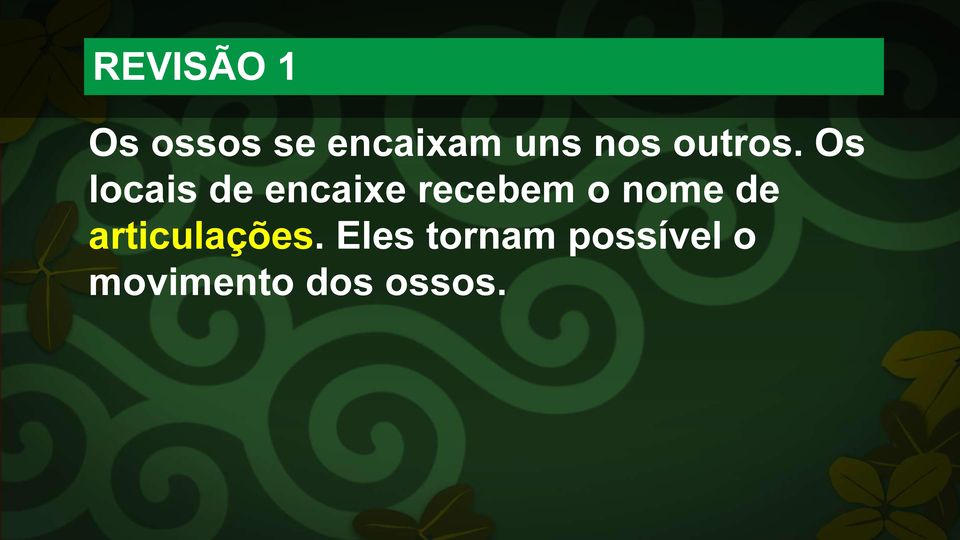 Os locais de encaixe recebem o nome