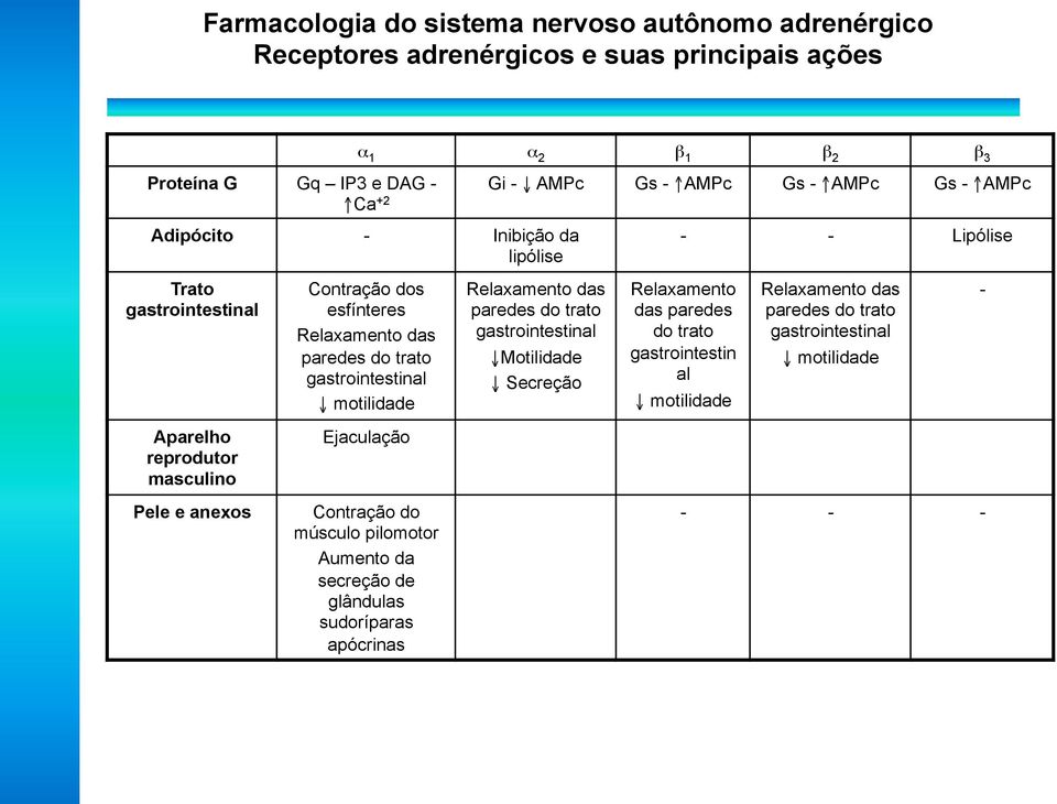 motilidade Relaxamento das paredes do trato gastrointestinal Motilidade Secreção Relaxamento das paredes do trato gastrointestin al motilidade Relaxamento das paredes do