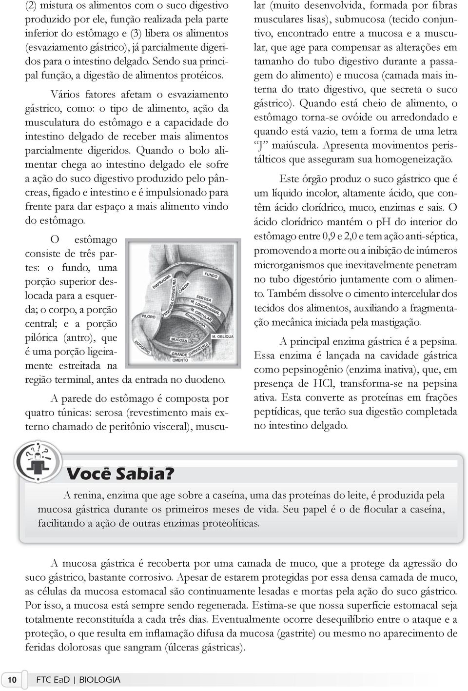 Vários fatores afetam o esvaziamento gástrico, como: o tipo de alimento, ação da musculatura do estômago e a capacidade do intestino delgado de receber mais alimentos parcialmente digeridos.