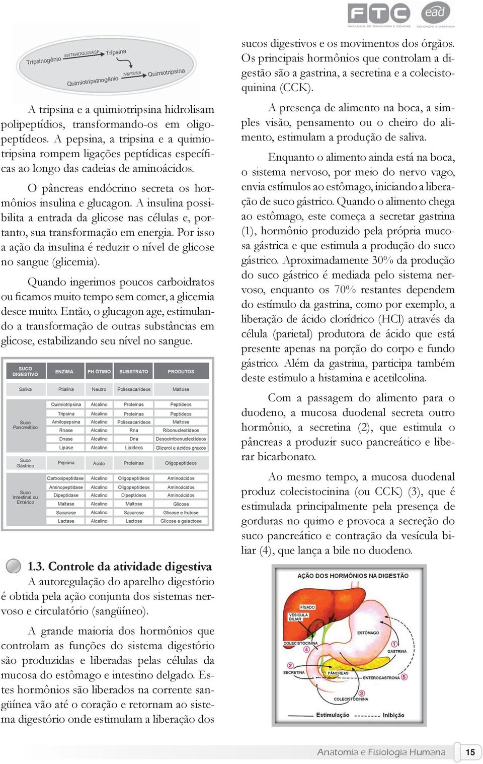 A insulina possibilita a entrada da glicose nas células e, portanto, sua transformação em energia. Por isso a ação da insulina é reduzir o nível de glicose no sangue (glicemia).