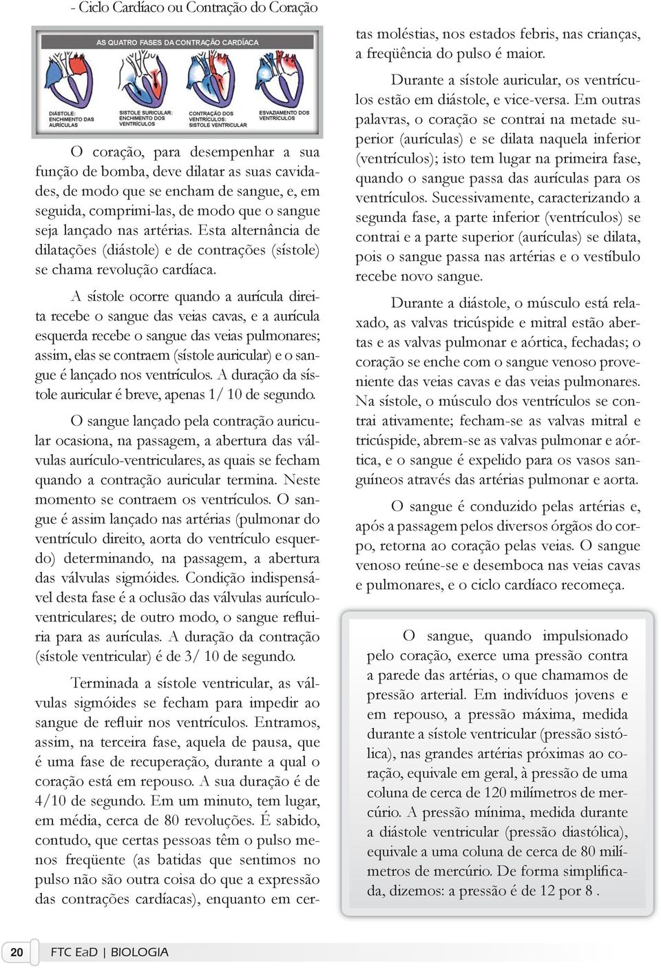 A sístole ocorre quando a aurícula direita recebe o sangue das veias cavas, e a aurícula esquerda recebe o sangue das veias pulmonares; assim, elas se contraem (sístole auricular) e o sangue é