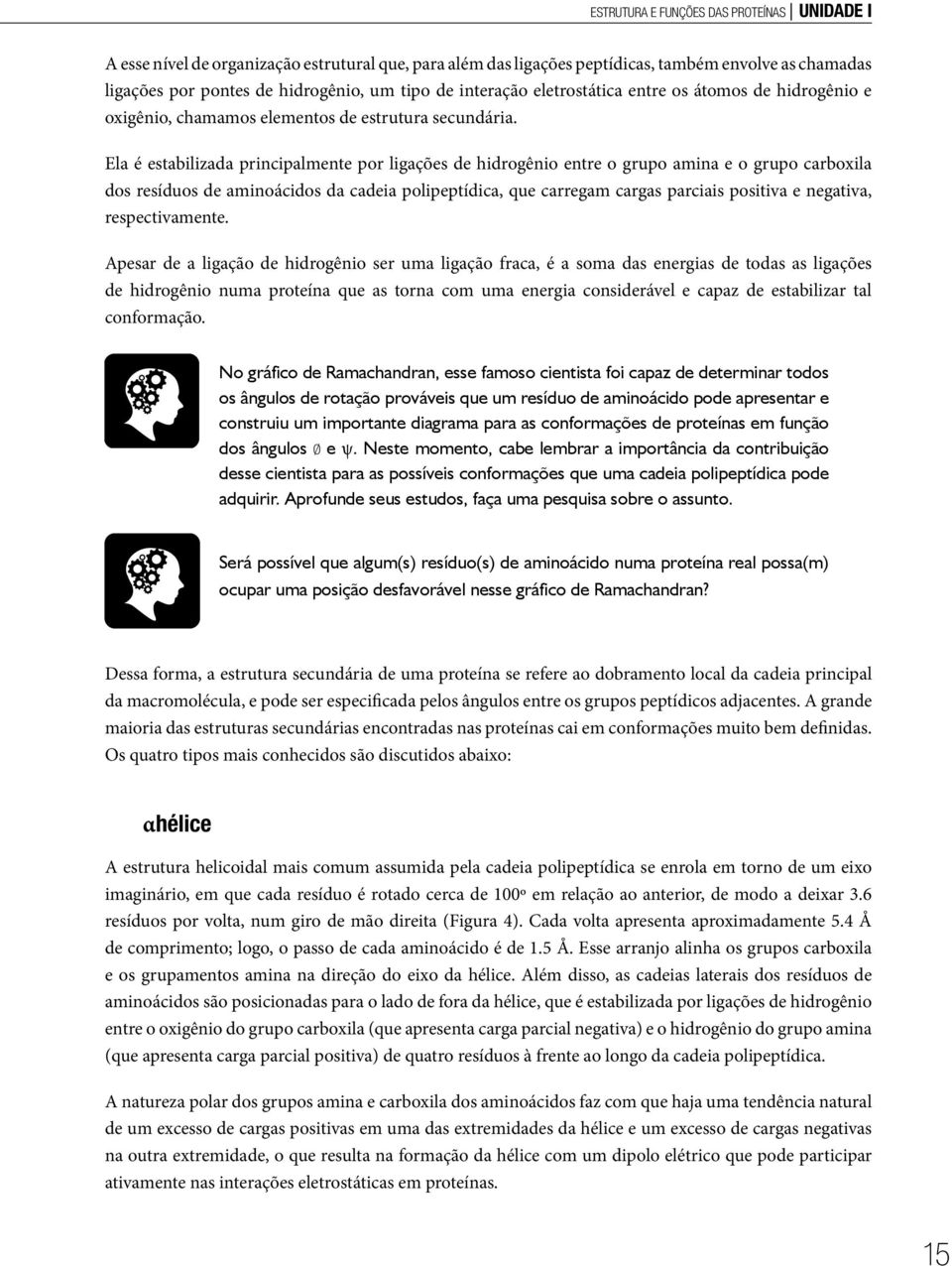 Ela é estabilizada principalmente por ligações de hidrogênio entre o grupo amina e o grupo carboxila dos resíduos de aminoácidos da cadeia polipeptídica, que carregam cargas parciais positiva e