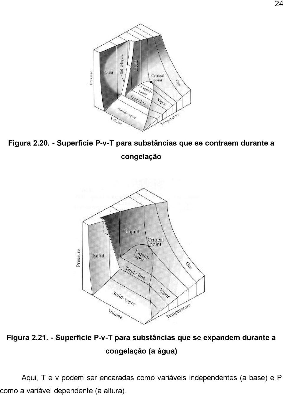 Figura 2.21.