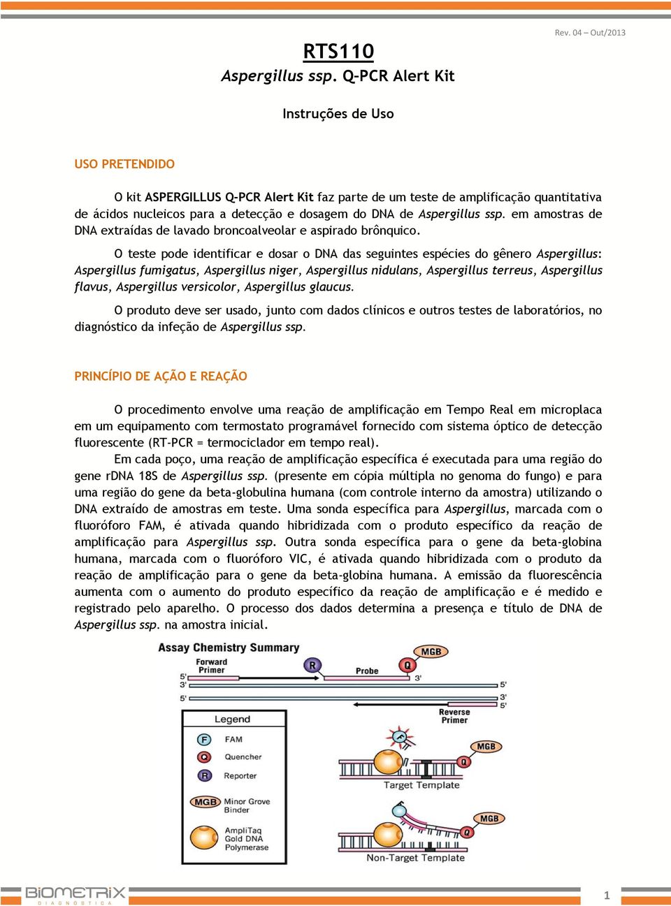 Aspergillus ssp. em amostras de DNA extraídas de lavado broncoalveolar e aspirado brônquico.