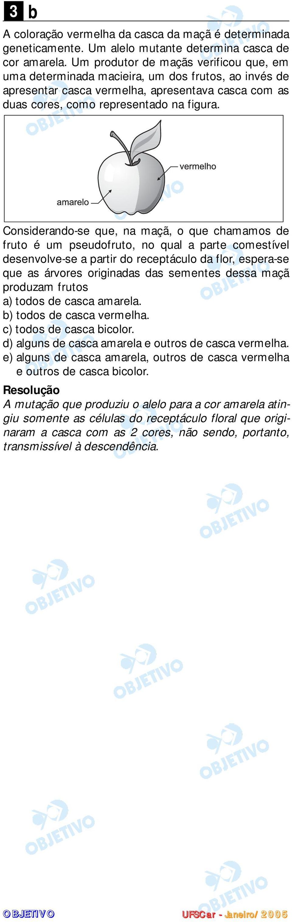 Considerando-se que, na maçã, o que chamamos de fruto é um pseudofruto, no qual a parte comestível desenvolve-se a partir do receptáculo da flor, espera-se que as árvores originadas das sementes