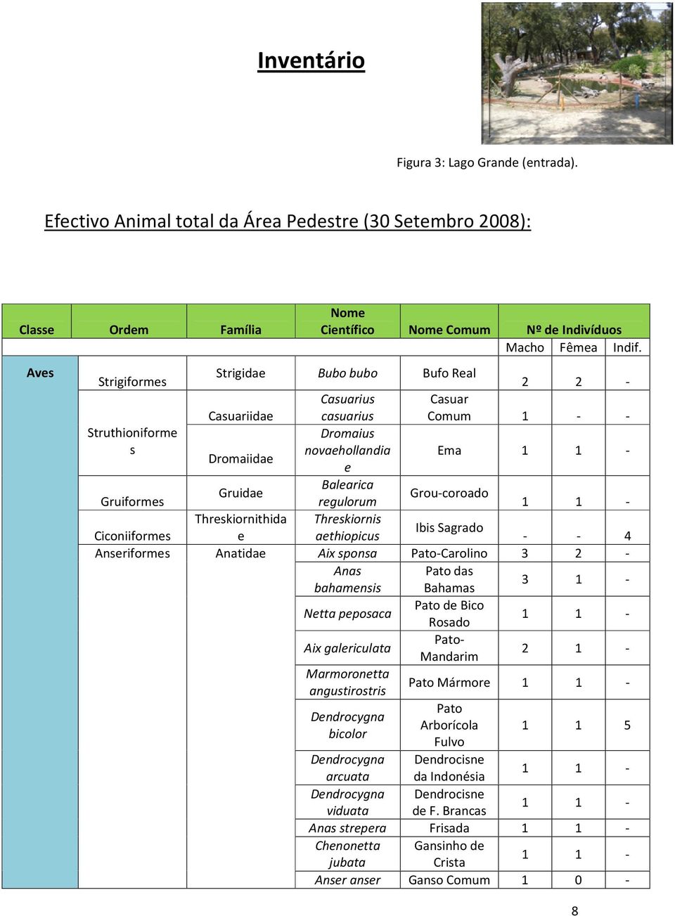 1 1 - e Gruidae Balearica Grou-coroado regulorum 1 1 - Threskiornithida Threskiornis Ibis Sagrado e aethiopicus - - 4 Anatidae Aix sponsa Pato-Carolino 3 2 - Anas Pato das bahamensis Bahamas 3 1 -