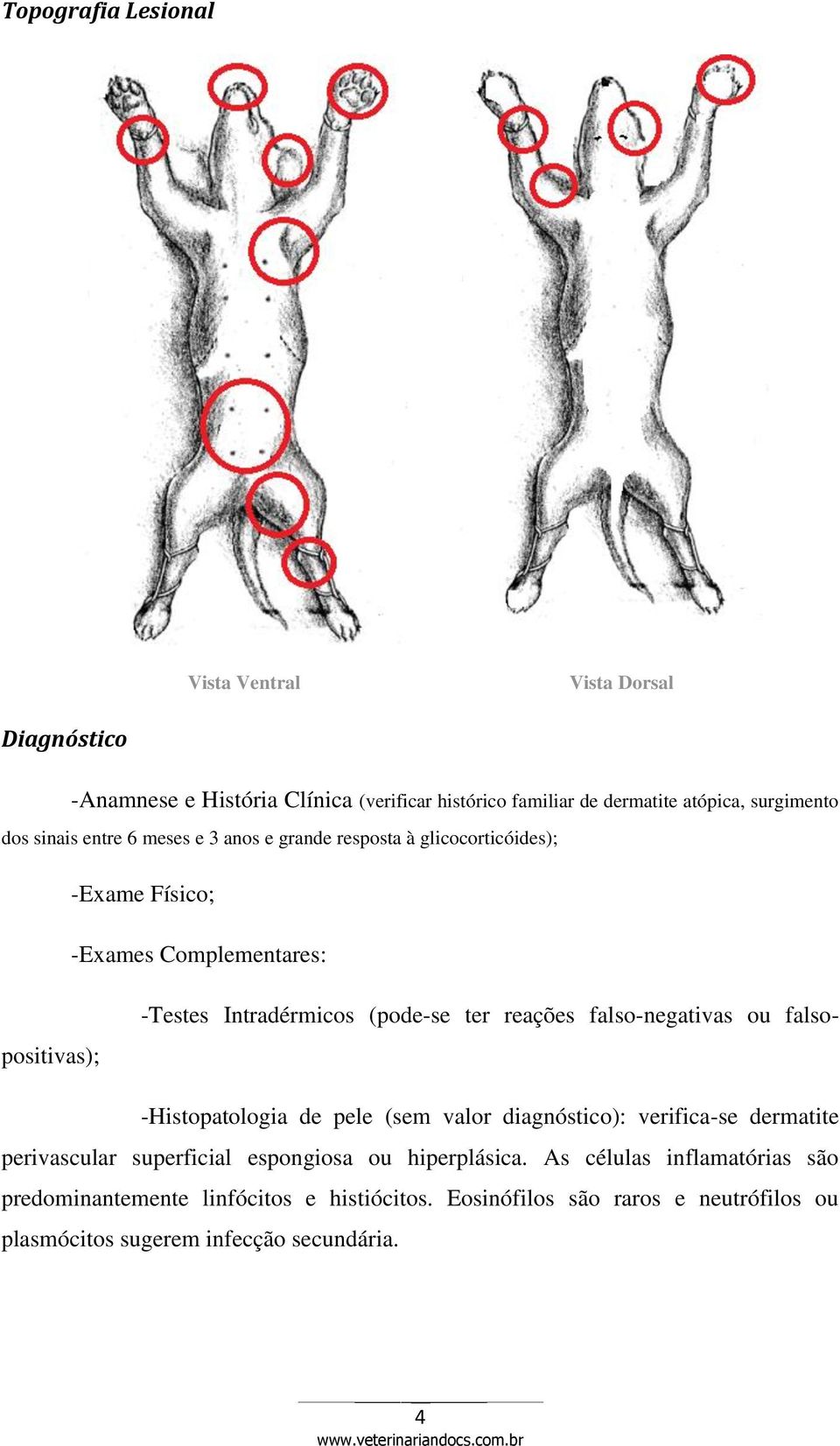 falso-negativas ou falsopositivas); -Histopatologia de pele (sem valor diagnóstico): verifica-se dermatite perivascular superficial espongiosa ou