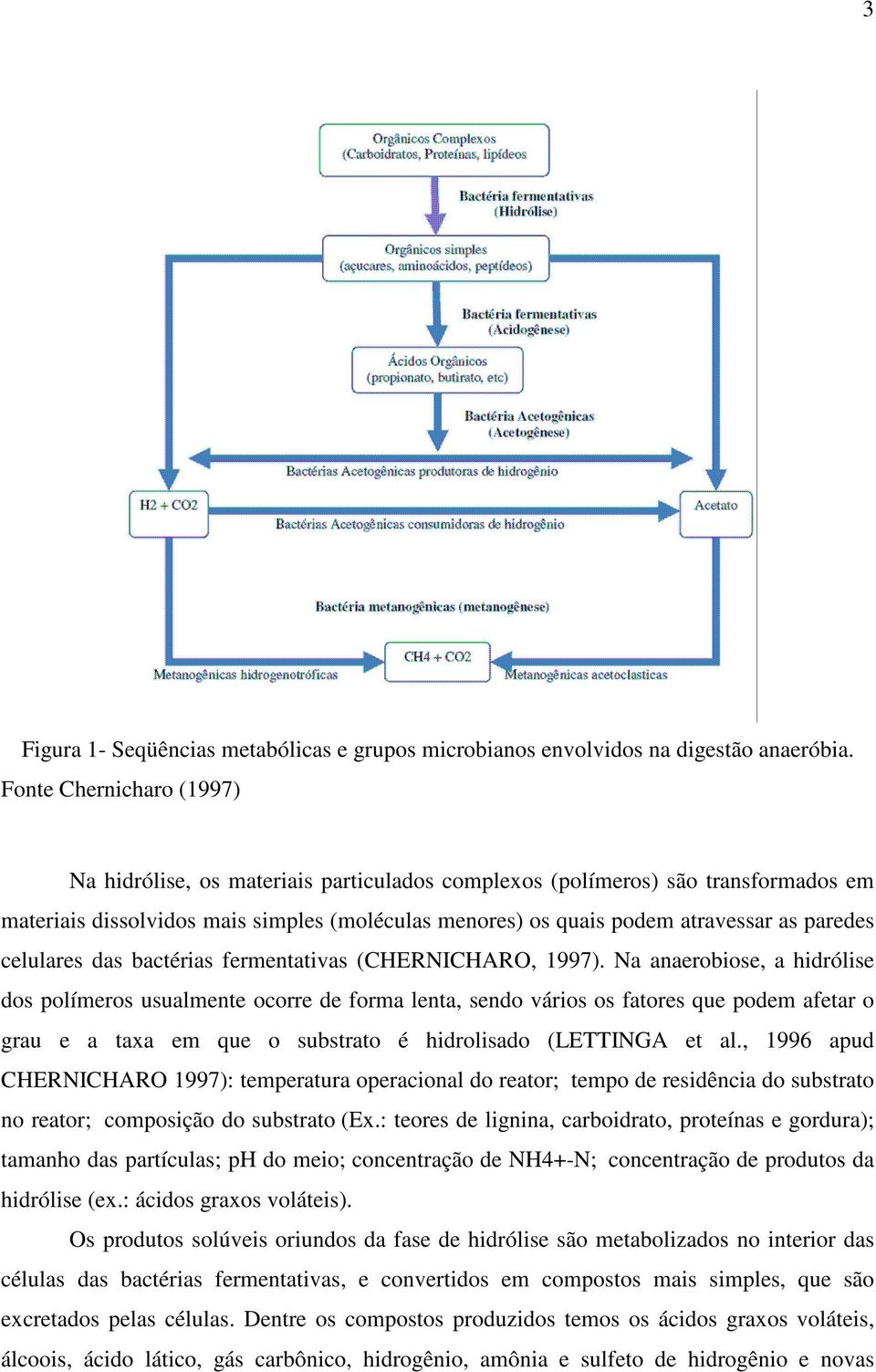 celulares das bactérias fermentativas (CHERNICHARO, 1997).