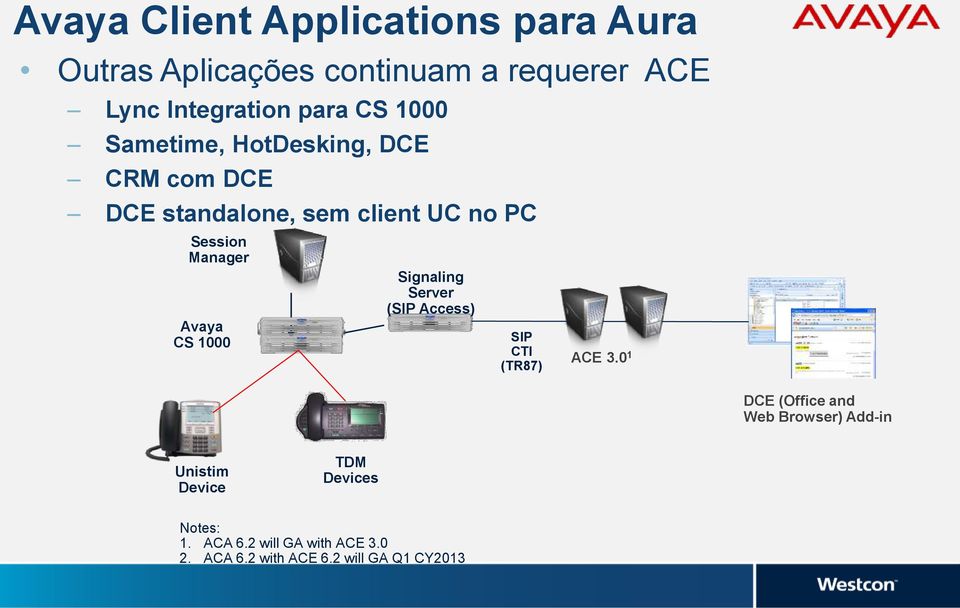 Avaya CS 1000 Signaling Server (SIP Access) SIP CTI (TR87) ACE 3.