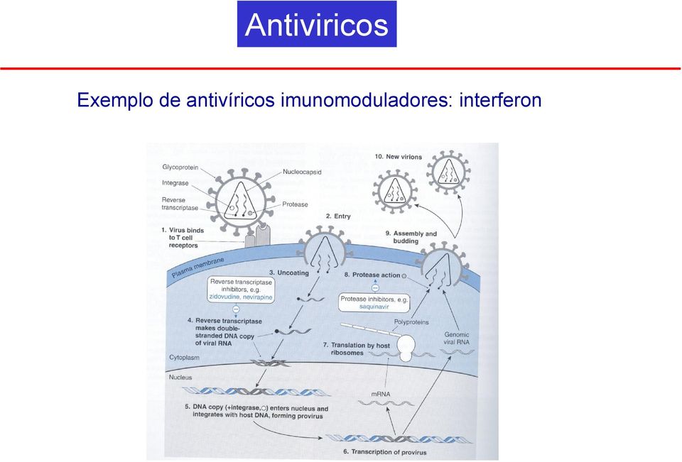 antivíricos