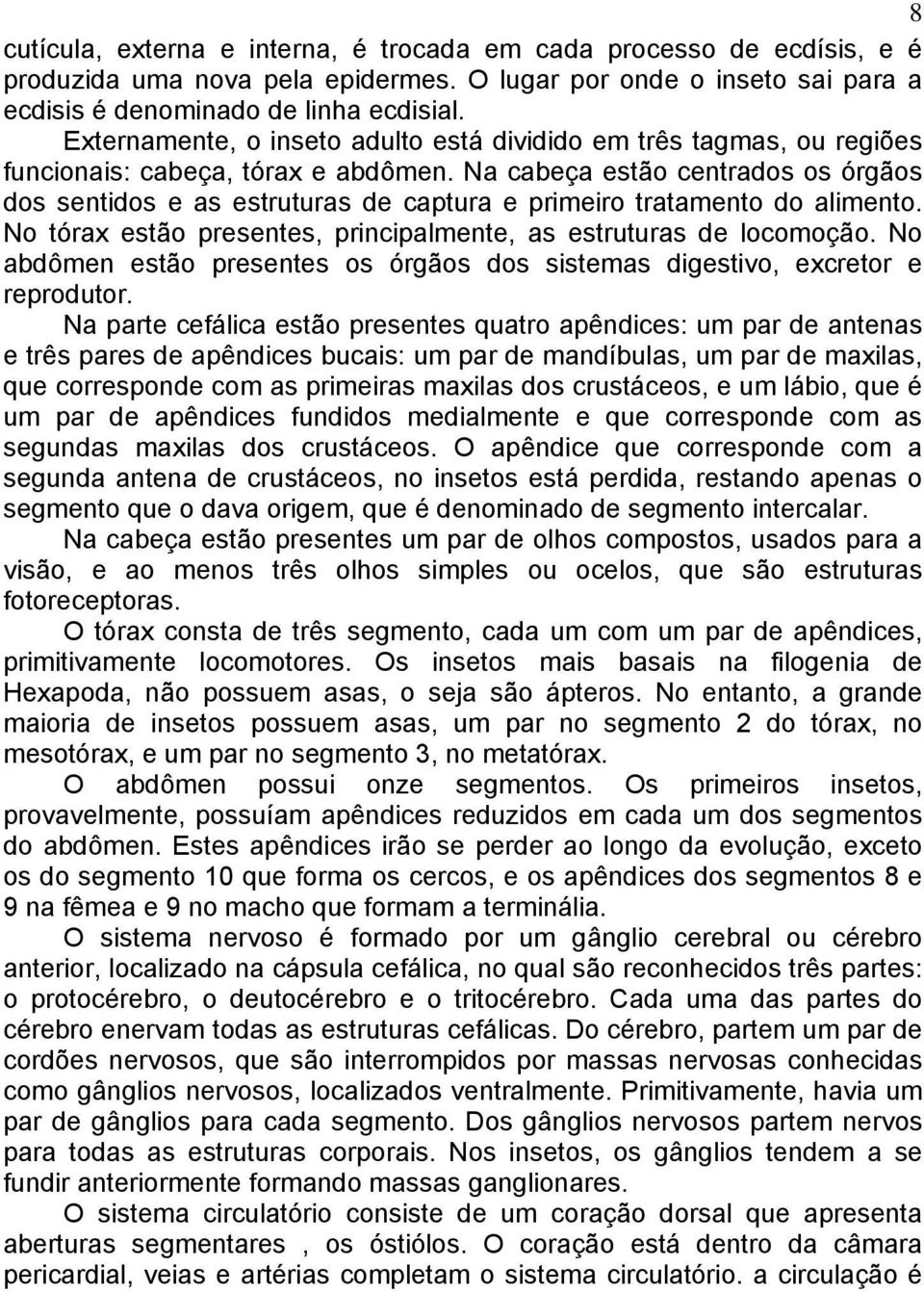 Na cabeça estão centrados os órgãos dos sentidos e as estruturas de captura e primeiro tratamento do alimento. No tórax estão presentes, principalmente, as estruturas de locomoção.