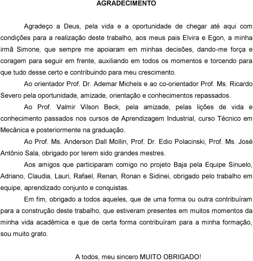 Ademar Michels e ao co-orientador Prof. Ms. Ricardo Severo pela oportunidade, amizade, orientação e conhecimentos repassados. Ao Prof.