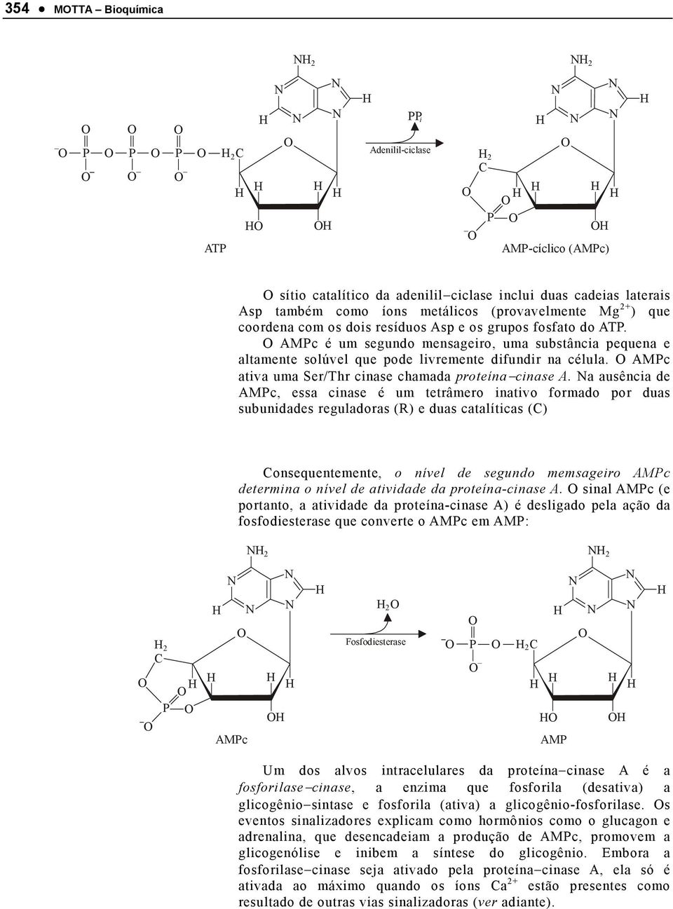 AMPc ativa uma Ser/Thr cinase chamada proteína cinase A.