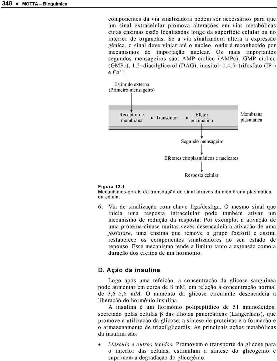 s mais importantes segundos mensageiros são: AMP cíclico (AMPc), GMP cíclico (GMPc), 1,2 diacilglicerol (DAG), inositol 1,4,5 trifosfato (IP 3 ) e Ca 2+.