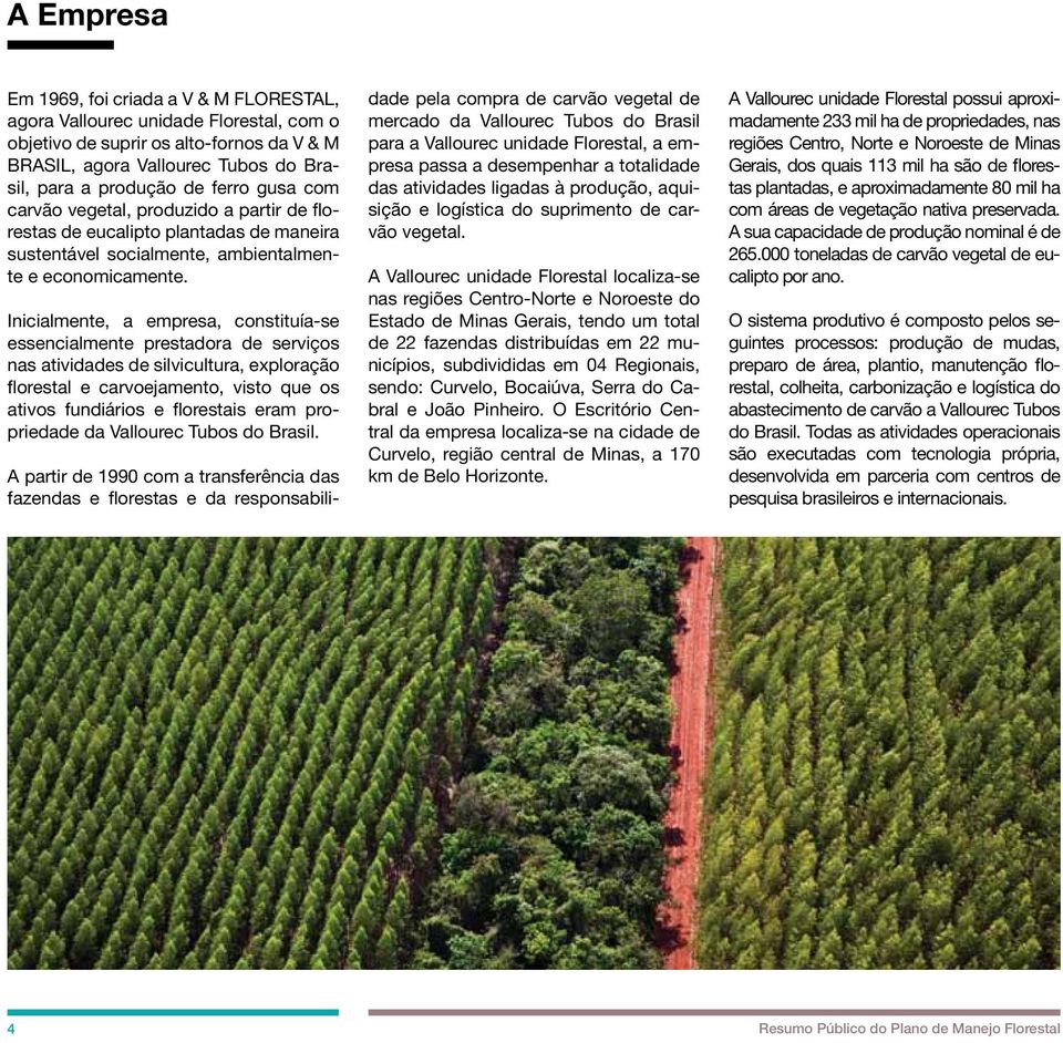 Inicialmente, a empresa, constituía-se essencialmente prestadora de serviços nas atividades de silvicultura, exploração florestal e carvoejamento, visto que os ativos fundiários e florestais eram