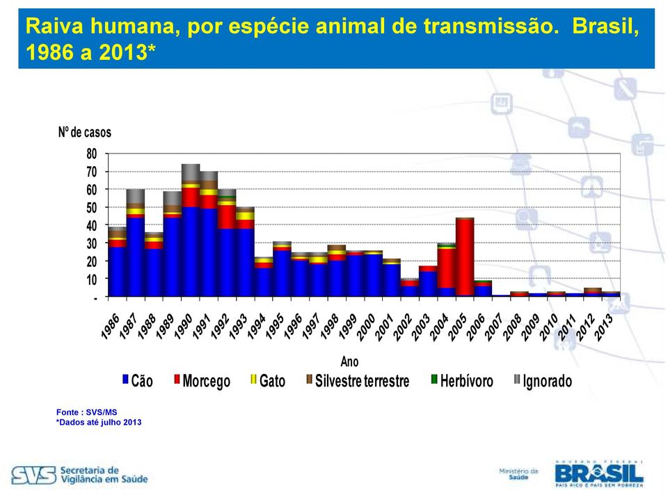 20 10 - Ano Cão Morcego Gato Silvestre terrestre