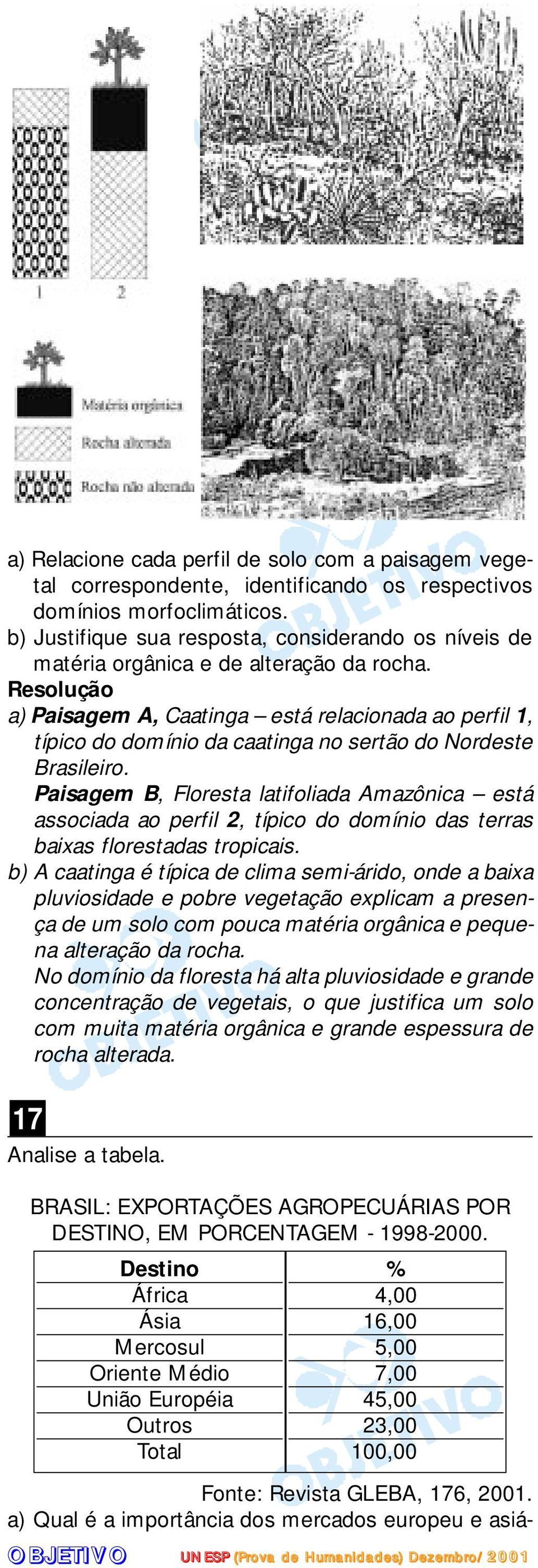 a) Paisagem A, Caatinga está relacionada ao perfil 1, típico do domínio da caatinga no sertão do Nordeste Brasileiro.