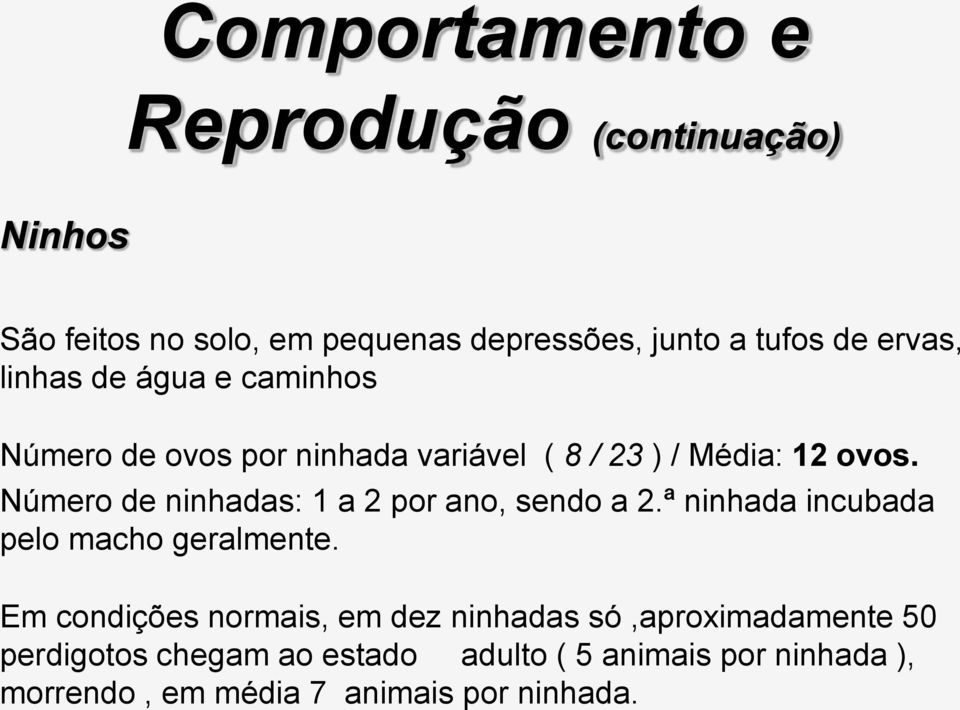 Número de ninhadas: 1 a 2 por ano, sendo a 2.ª ninhada incubada pelo macho geralmente.