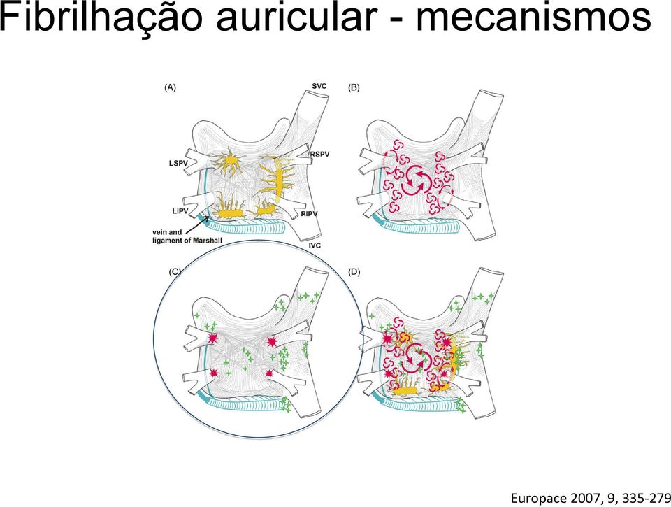 mecanismos