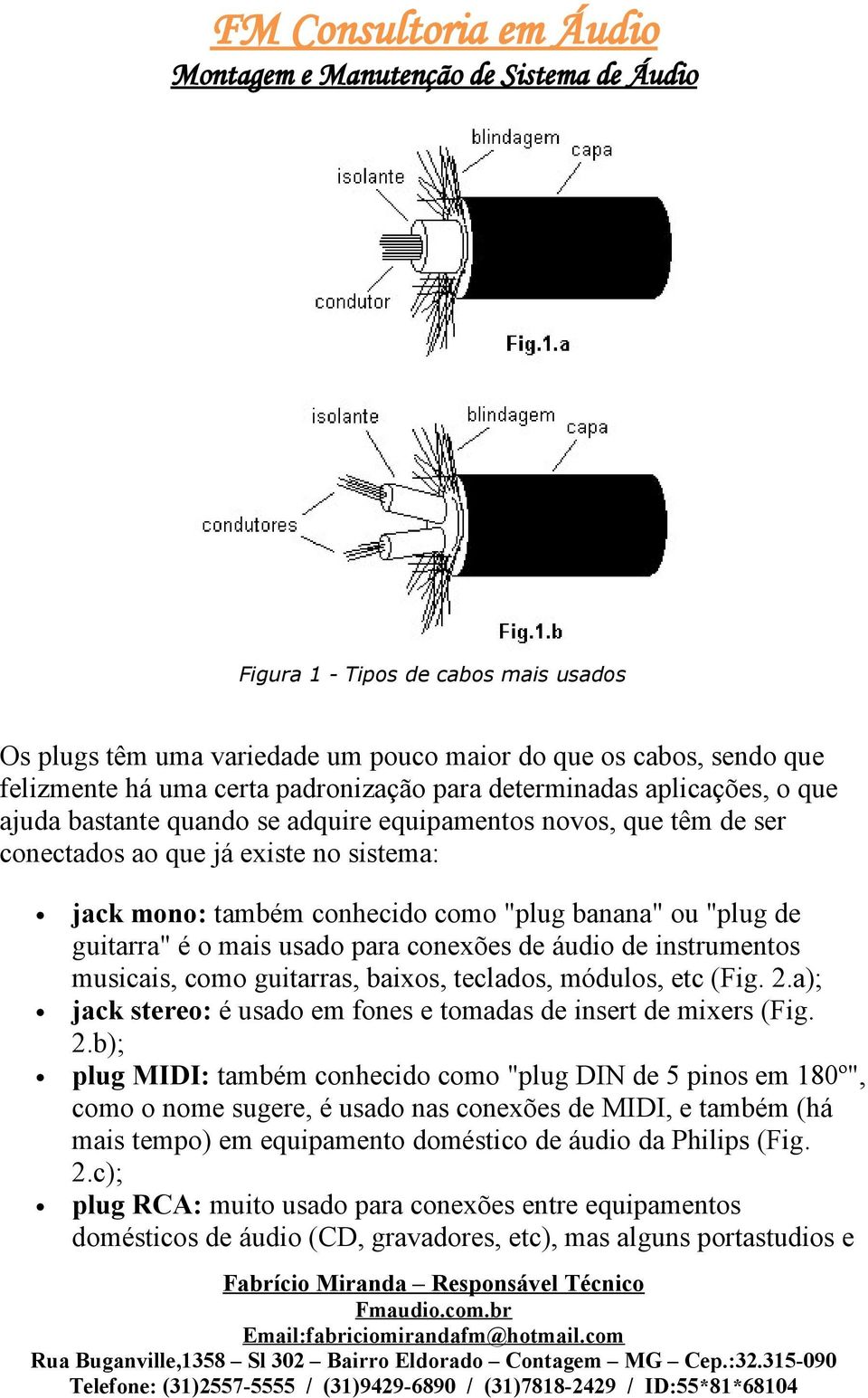 de instrumentos musicais, como guitarras, baixos, teclados, módulos, etc (Fig. 2.