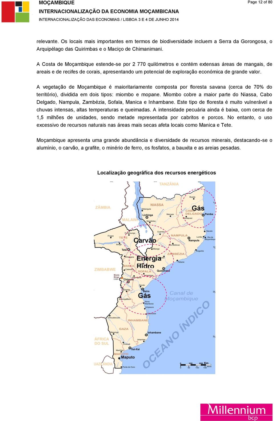 A vegetação de Moçambique é maioritariamente composta por floresta savana (cerca de 70% do território), dividida em dois tipos: miombo e mopane.