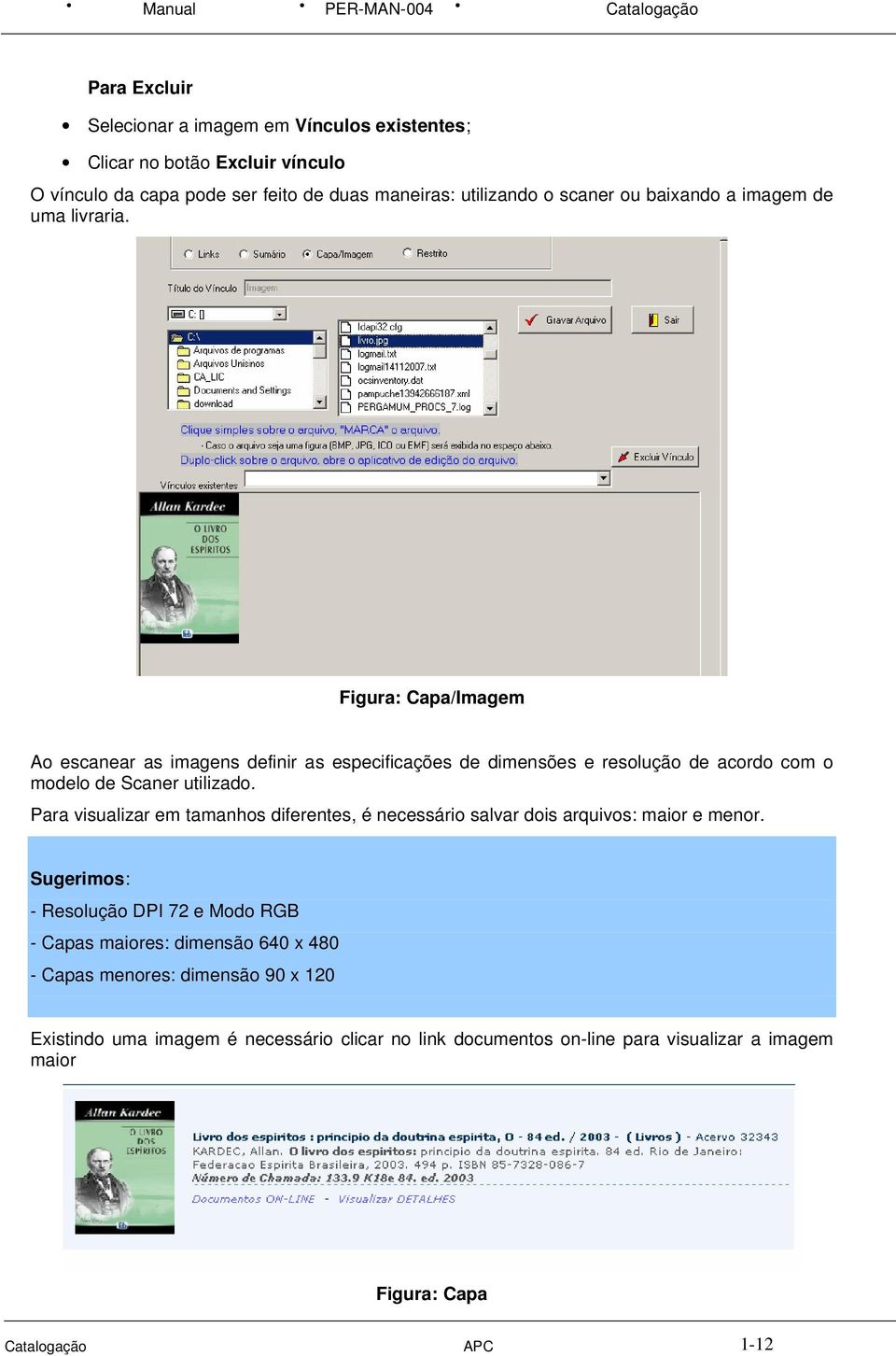 Figura: Capa/Imagem Ao escanear as imagens definir as especificações de dimensões e resolução de acordo com o modelo de Scaner utilizado.