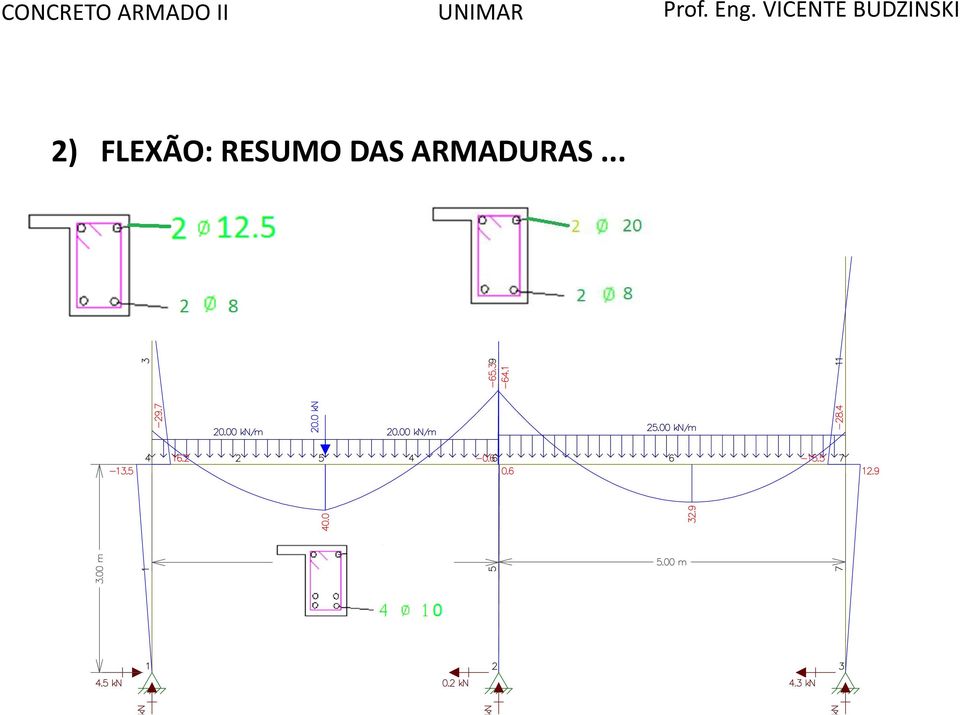 RESUMO