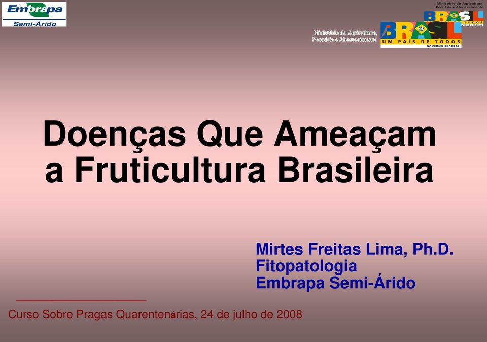 Quarentenárias, 24 de julho de 2008