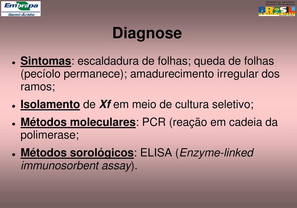 meio de cultura seletivo; Métodos moleculares: PCR (reação em cadeia